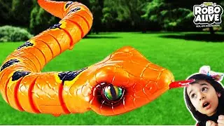 We Have Snake In Our Backyard - Robo Alive Slithering Snake By Zuru