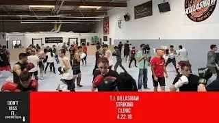 TJ DILLASHAW STRIKING CLINIC (PREVIEW)
