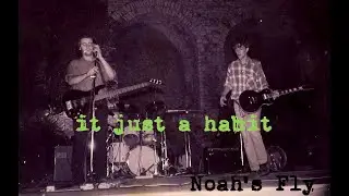 Noah's Fly  /  it's just a habit ( keep your head on the ground )