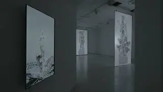 More Than Human set up