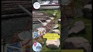 Newfoundland, Canada's most beautiful island and province. Take a trip to this rugged landscape.