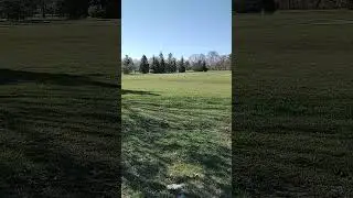 senton 4S off road speed run.. #arrma #senton #prolinewheels