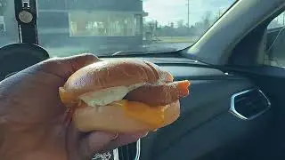 Filet-O-Fish Review 🐟It Was Actually Perfect 🤩 