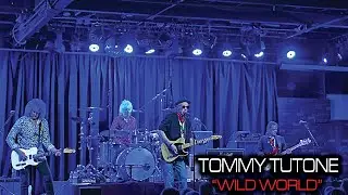 TOMMY TUTONE  'Wild World'  live at the Coach House