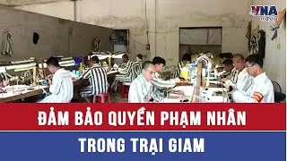 Đảm bảo quyền phạm nh&acirc;n trong trại giam - VNAMedia