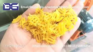Double screw 3d 2d papad fryum snack pellet making extruder machine