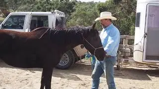 Float Load Training
