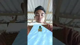 Ice boat minecraft racing challange 🏁 Only 1% survive #beatbox