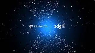 SDG Partners - Trifacta Interview on Data Preparation