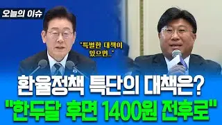 환율정책 특단의 대책은? 