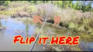 Lake Fork Bed Fishing