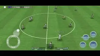 Playing  final of fifa world cup in world football league 