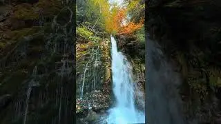 Cascada Urlătoarea 💦 | Beautiful Waterfall in Romania 🇷🇴 | Relaxing Nature Sounds