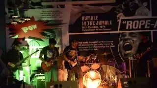 GolddiggerV1 - Live by Functional Hazard