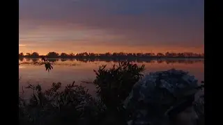 In the Blind Trailer