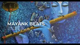 Tum Prem Ho (Slowed & Reverb) Beautifull Radhe Krishna | Mohit Lalwani | Mayank Beats