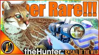 I Didn't Even Know It Was a SUPER RARE! | theHunter Call of the Wild