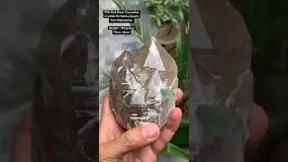 Pink And Green Tourmaline Crystals On Smoky Quartz from Afghanistan Weight : 740 grama