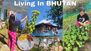 Living In BHUTAN | Asian Village Life |Rural countryside 