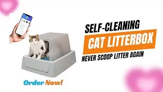 PetSafe ScoopFree Crystal Smart Front Entry Self Cleaning Cat Litter Box Review   Must Watch!