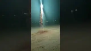 Red Apple Fireworks 🍎 Flying Bee Pyro Bug 🐝