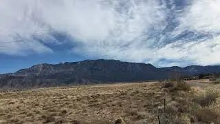 Where the Buffalo Roam