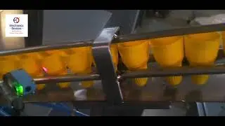 Conical Cap Wad/Liner Inserting Machine | Sigma CapSeal