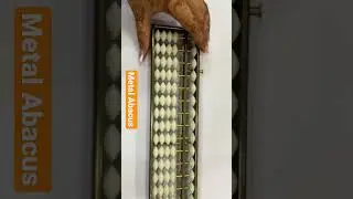 Metal Abacus #brainiacgym #shorts #youtubeshorts #shortsvideo #youtube #india #abacus #learnabacus