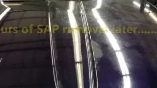 Dodge RAM Sap Removal - Madison Auto Detail Showcase