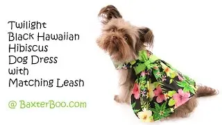 Twilight Black Hawaiian Hibiscus Dog Dress with Matching Leash