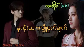 နှလုံးသားလျှိုဝှက်ချက်(ပထမပိုင်း)(စဆုံး) #tzaudiobook#romantic#love#drama 