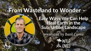 From Wasteland to Wonder &ndash; Easy Ways We Can Help Heal Earth in the Sub/Urban Landscape