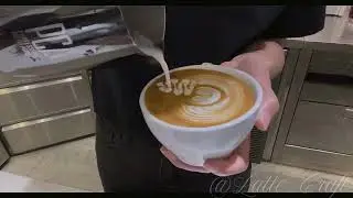 Classic Swan Latte Art Tutorial: Professional Barista Standard (Black Tee)