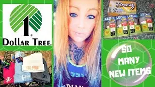 NEW ITEMS DOLLAR TREE HAUL!! LAST HAUL OF SEPT/ AMANDA RANDOM