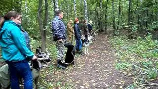 MOV02484.AVI