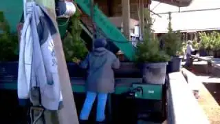 Gold Hill Nursery planting #5 to #15