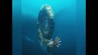 Dunkleosteus/amazing facts about sea national geographic nat geo