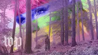 Queer fans decode the Easter eggs in Taylor Swift's 'Folklore,' 'Betty,' and beyond