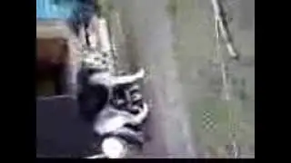 IMG 01471