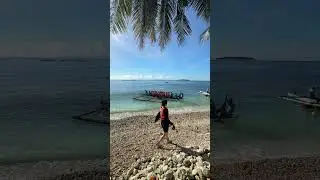 Whale Shark Watching 🐋 #Cebu #WhaleSharkWatching #beach #view #place #Philippines #tour #love #boat