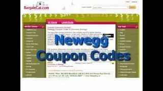Newegg Coupons - 2013 Newegg Coupon Codes
