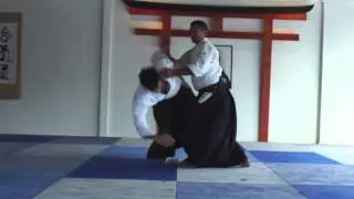 Best of 2012 Michel Erb Sensei