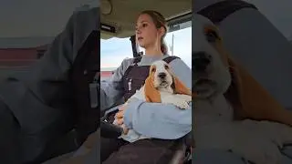 This, a Future Farm Dog?  👀🚜