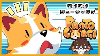 【わんわん！！】PROTO CORGI【シューティング】