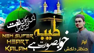 Super Heart Touching kalam ll Taiba khubsurat hai ll Hanzala Dilkash 