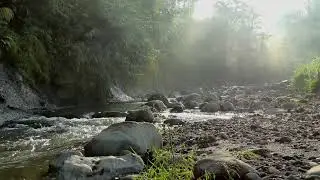 Tinnitus relief Pink noise sound therapy
