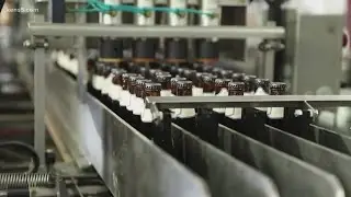 Alamo Beer Company filing for bankruptcy, becoming a growing trend for breweries in area