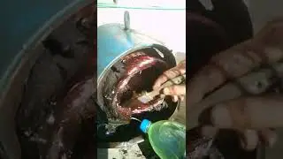 cleaning electric motor