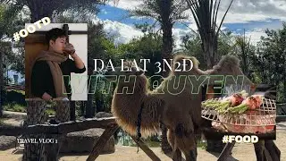 Vlog #1:  DALAT 3N2Đ | Mình quay lại Đà Lạt sau 2 năm, Ăn gì, Mặc gì, Đi đâu