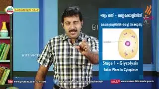 KITE VICTERS STD 09 Biology Class 24 (First Bell-ഫസ്റ്റ് ബെല്‍)